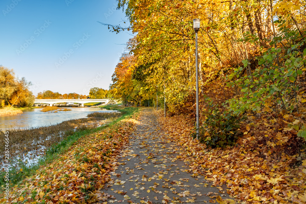 Road along the river in autumn