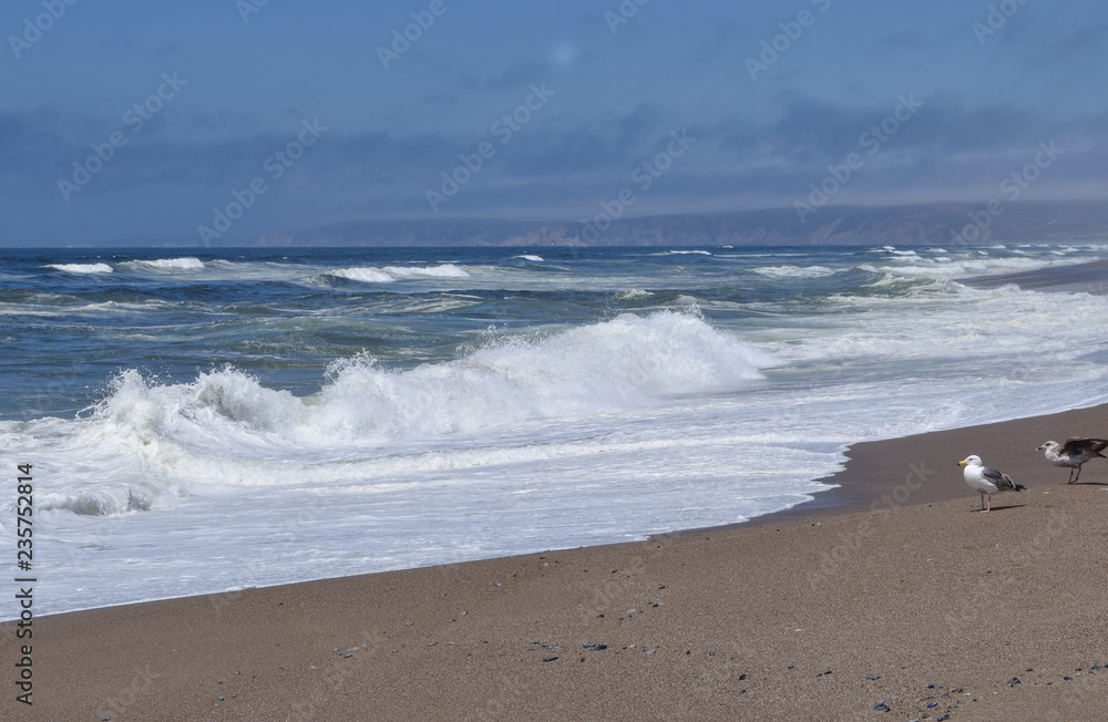 Point Reyes North Beach views