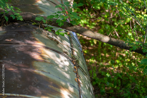 Pipeline in the forest among the thickets of trees photo