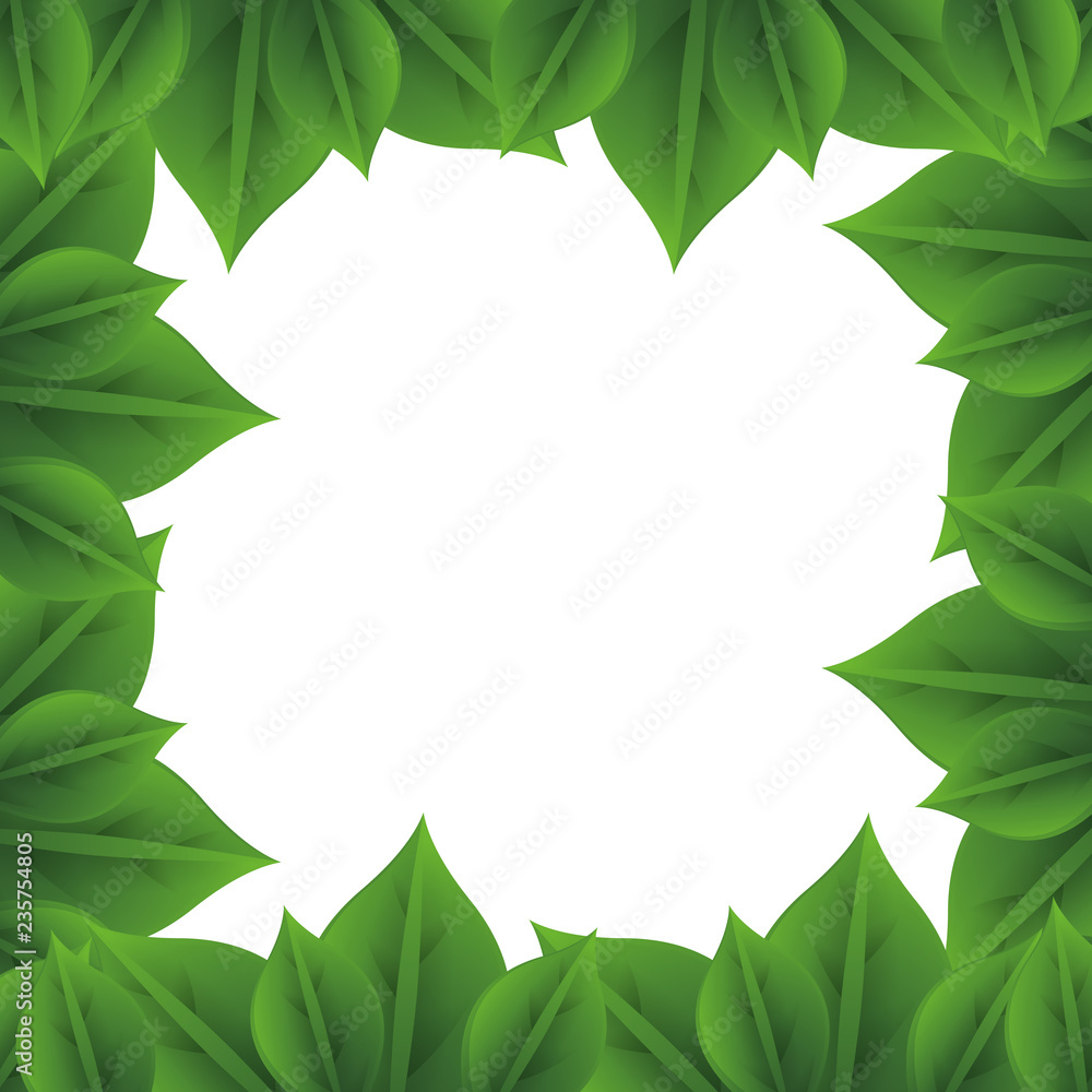 ecology leafs plant frame ecology leafs plant frame