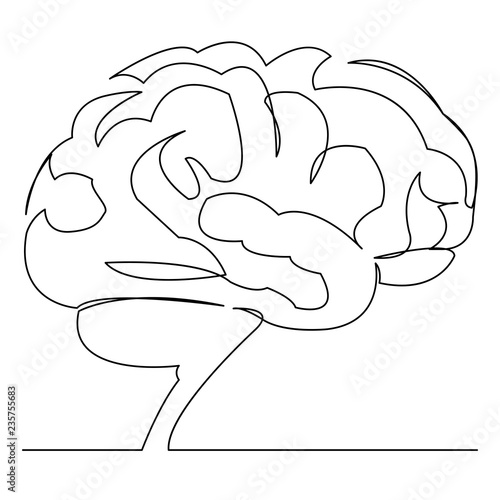 brain