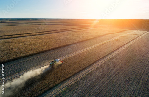 Combine harvester in soybean field