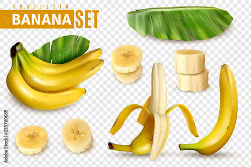 Realistic Banana Transparent Set
