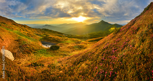 Panoramic view of evening highland with mountain rhododendron