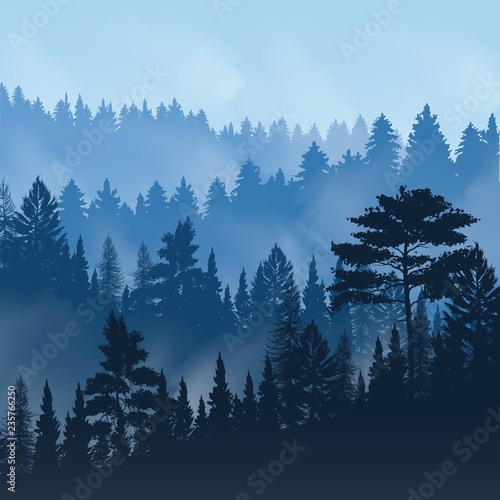 Pine Forest Fog Illustration