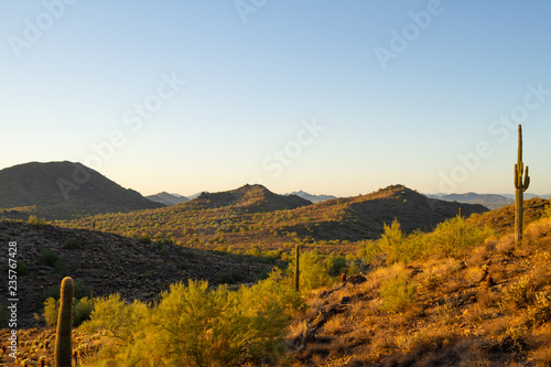 The mountainous desert landscape of Arizona in morning light with two saguaro cactuses.