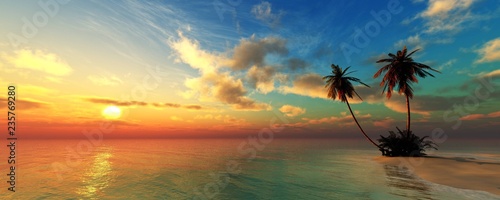 Beautiful beach with palm trees at sunset, panorama of a tropical landscape, sea sunset, 
