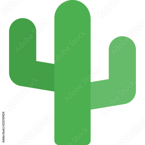 Desert succulent cactus