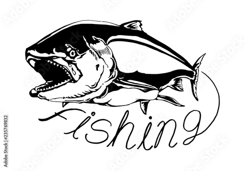 vintage fly fish,drawing animal,vector