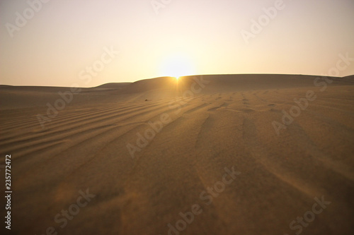Desert Sun © living_rock7