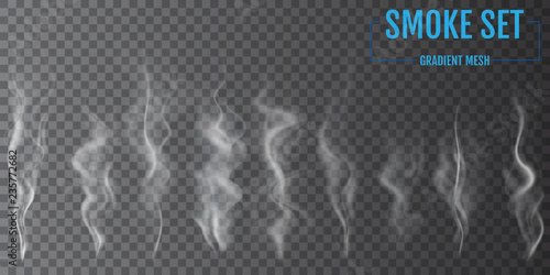 Delicate white cigarette smoke waves on transparent background. Vector illustration
