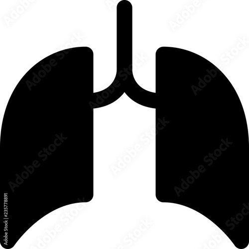 Lungs respiratory organ