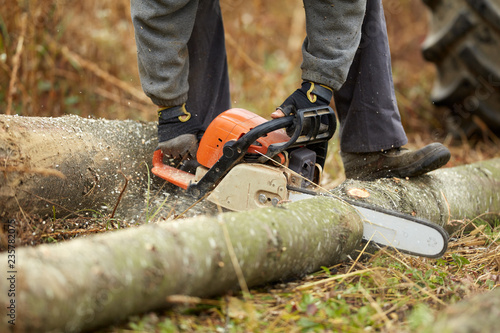 Lumberjack with chainsaw working