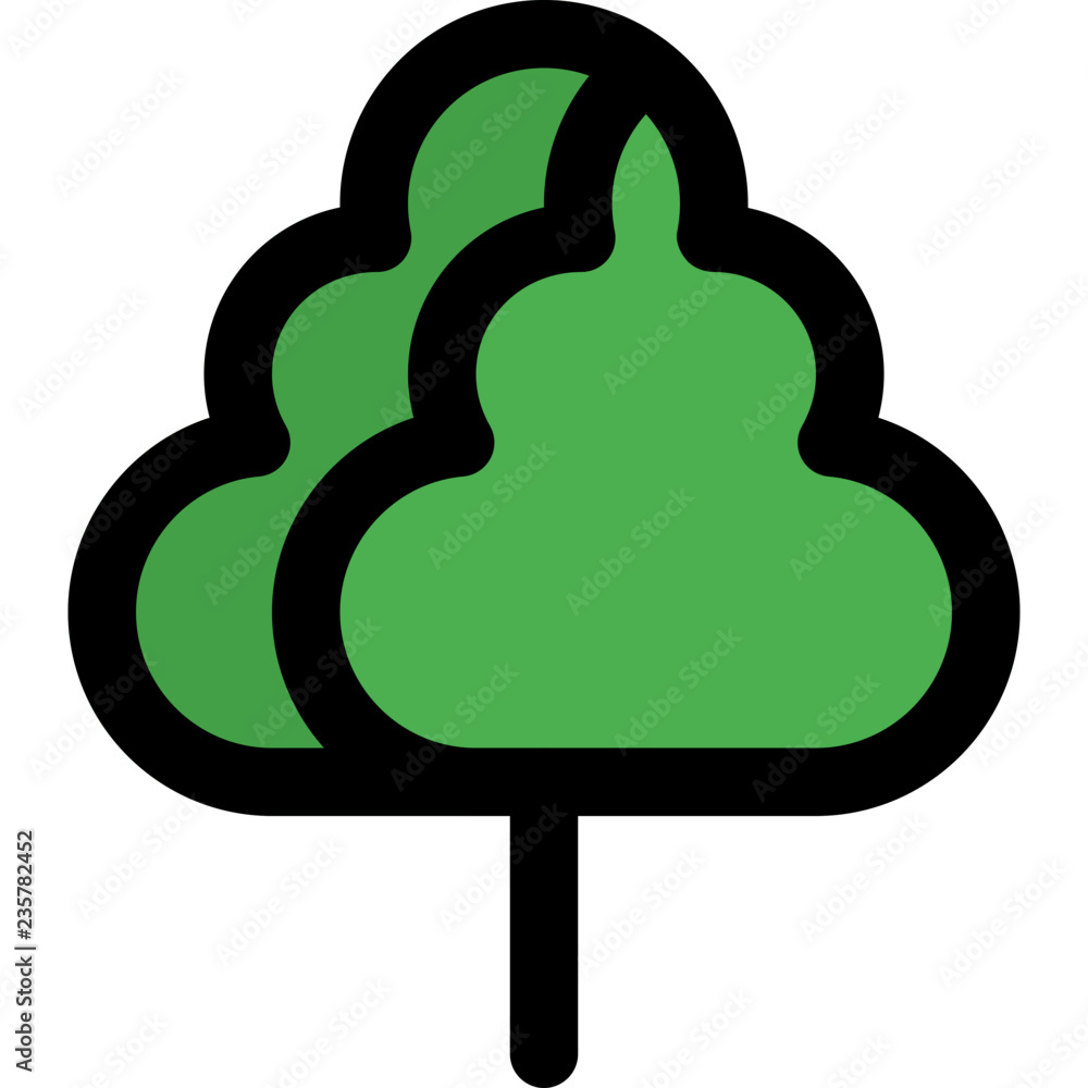 Tall forest tree Tall forest tree