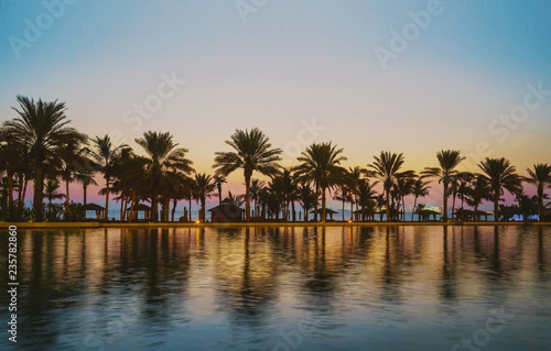 Evening in tropical Paradise. Palm trees on the Arabian Gulf after sunset. Dubai. © sablinstanislav