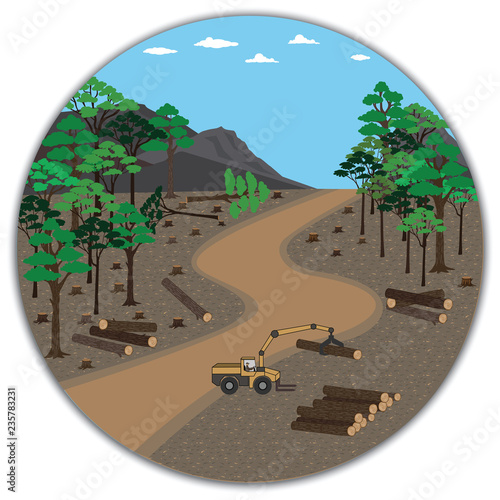 Deforestation