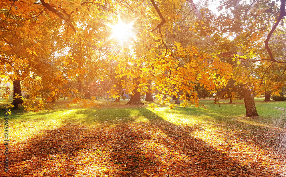Fototapeta premium Beautiful, colorful autumn in an european country