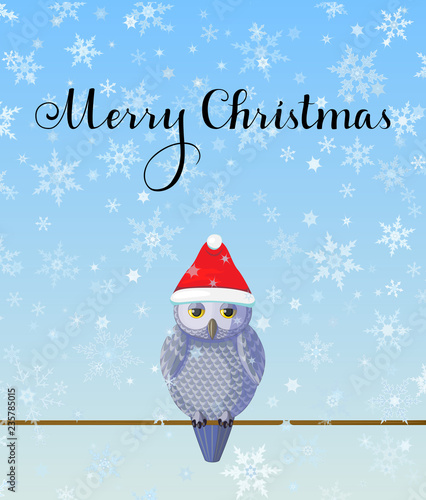 Christmas Greeting card with cute silver grey owl wear red hat on blue background with snowflakes.