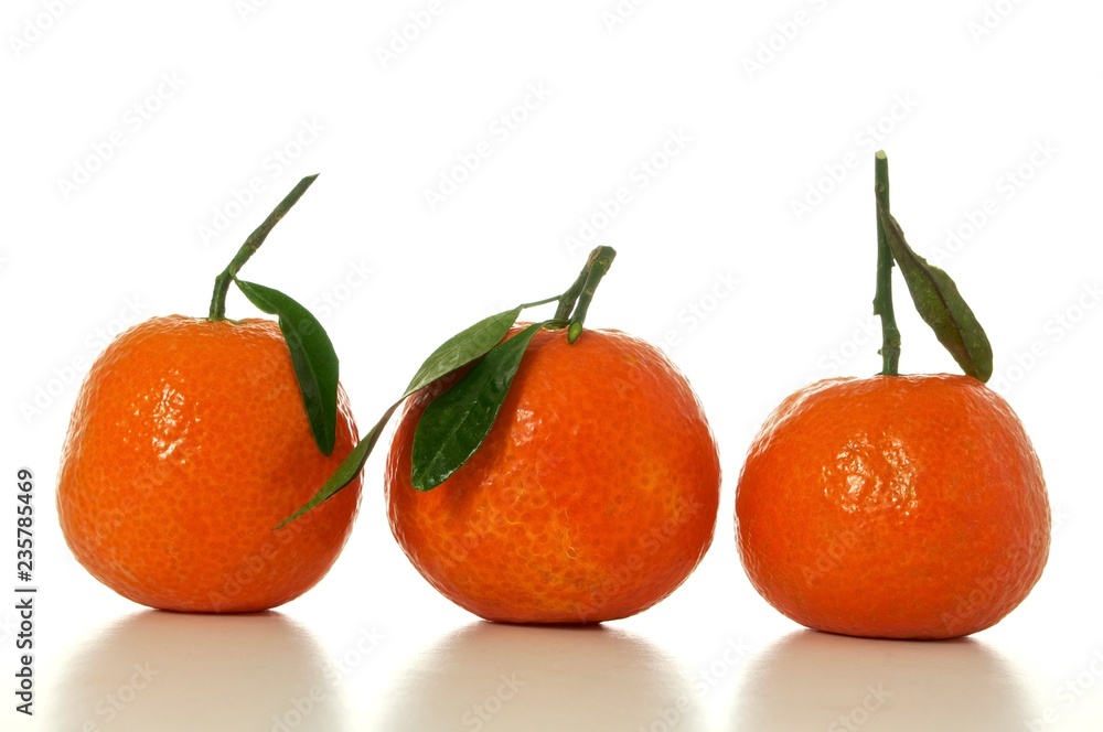 tangerines with green leaves isolated on white background tangerines with green leaves isolated on white background