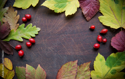 Herbstlicher Rahmen, bunte Blätter und rote Beeren auf einem Holzschneidebrett photo