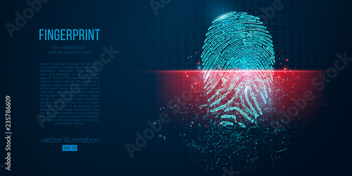 Concept of digital security, electronic fingerprint on scanning screen. Low poly wire outline geometric vector illustration. Particles, lines and triangles on blue background. Neon light. photo