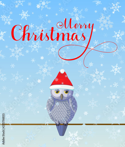 Christmas Greeting card with cute silver grey owl wear red hat on blue background with snowflakes.