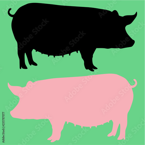 sow pig vector silhouette isolated