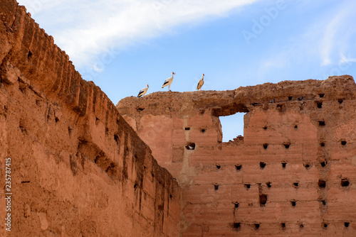  Badi Palace is a ruined palace located in Marrakesh, Morocco