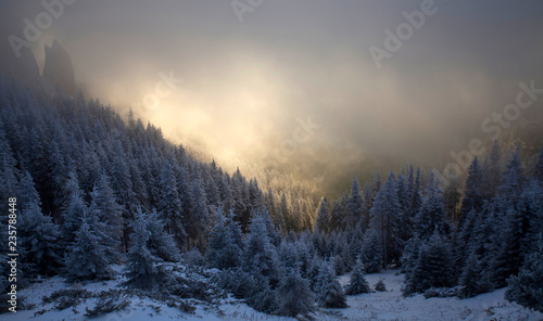 Wallpaper Mural Trees covered with hoarfrost and snow in winter mountains - Holiday background Torontodigital.ca