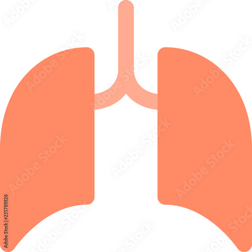 Lungs respiratory organ