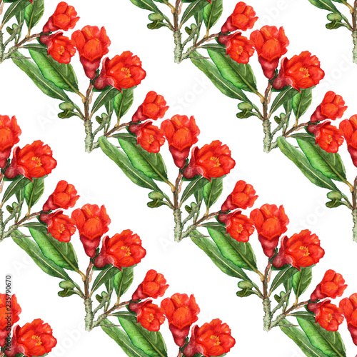 Seamless pattern with flowers of pomegranate