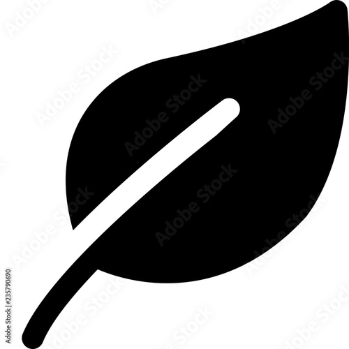 Plant leaf isolated