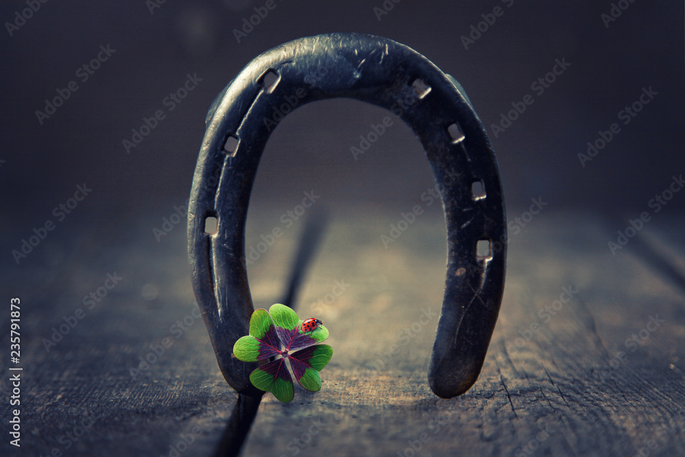 Hufeisen bringt Glück! Stock Photo Adobe Stock