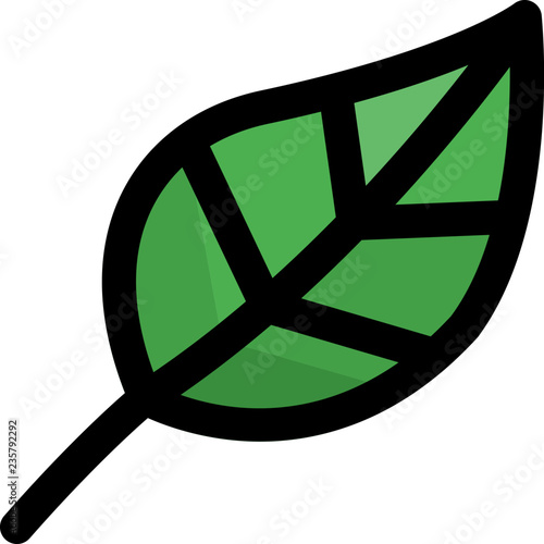 Plant leaf isolated