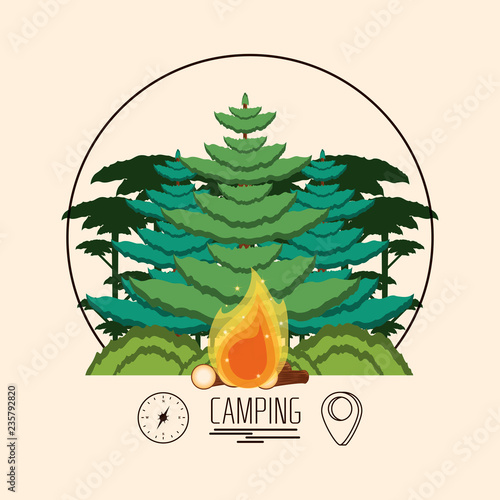 camping zone with trees plant and fire wooden