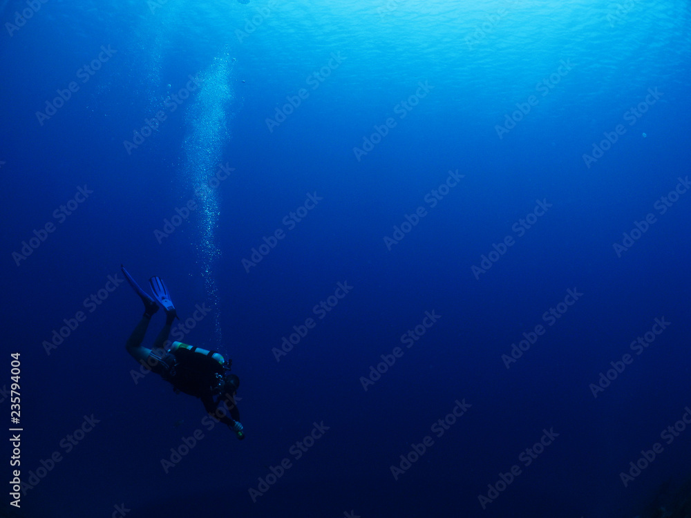 Fototapeta premium diver on the blue