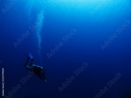 diver on the blue