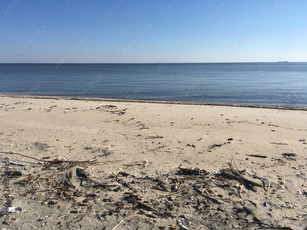 Chesapeake Bay beach in the fall