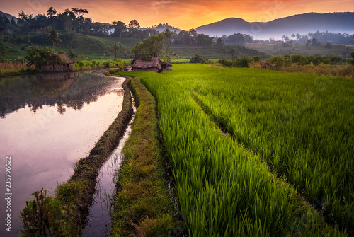 Dawn in the Rice Fields of Bali, Indonesia. The village of Sidemen can be said to have the most beautiful and dramatic rice terraces in all of Indonesia. Peaceful and idyllic barely describes the land photo