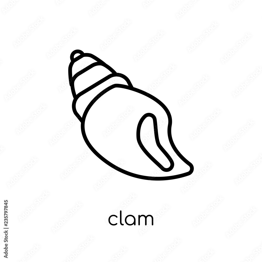 Clam icon. Trendy modern flat linear vector Clam icon on white ...
