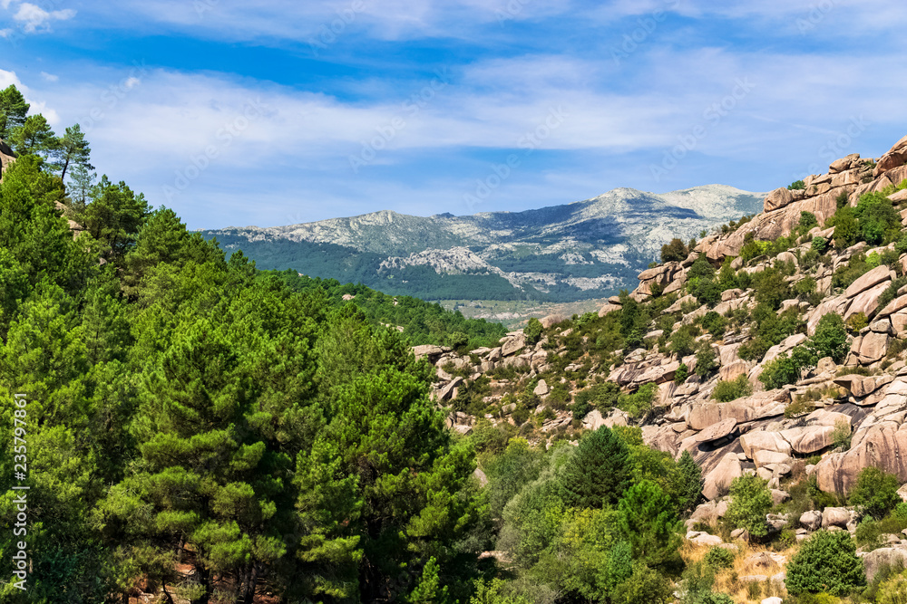 View of a valley half mountain with stones and half mountain with trees in the Natural Park of La Pedriza. Photograph taken in Manzanares El Real, Madrid, Spain.