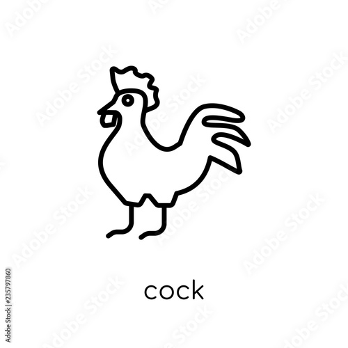 Cock icon. Trendy modern flat linear vector Cock icon on white background from thin line animals collection