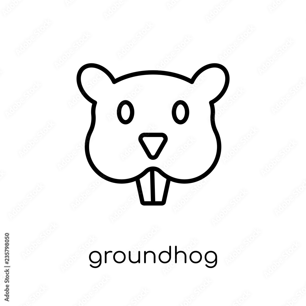 Fototapeta premium Groundhog icon. Trendy modern flat linear vector Groundhog icon on white background from thin line animals collection