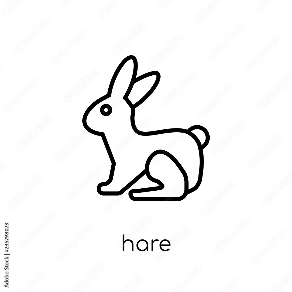 Hare icon. Trendy modern flat linear vector Hare icon on white background from thin line animals collection Hare icon. Trendy modern flat linear vector Hare icon on white background from thin line animals collection