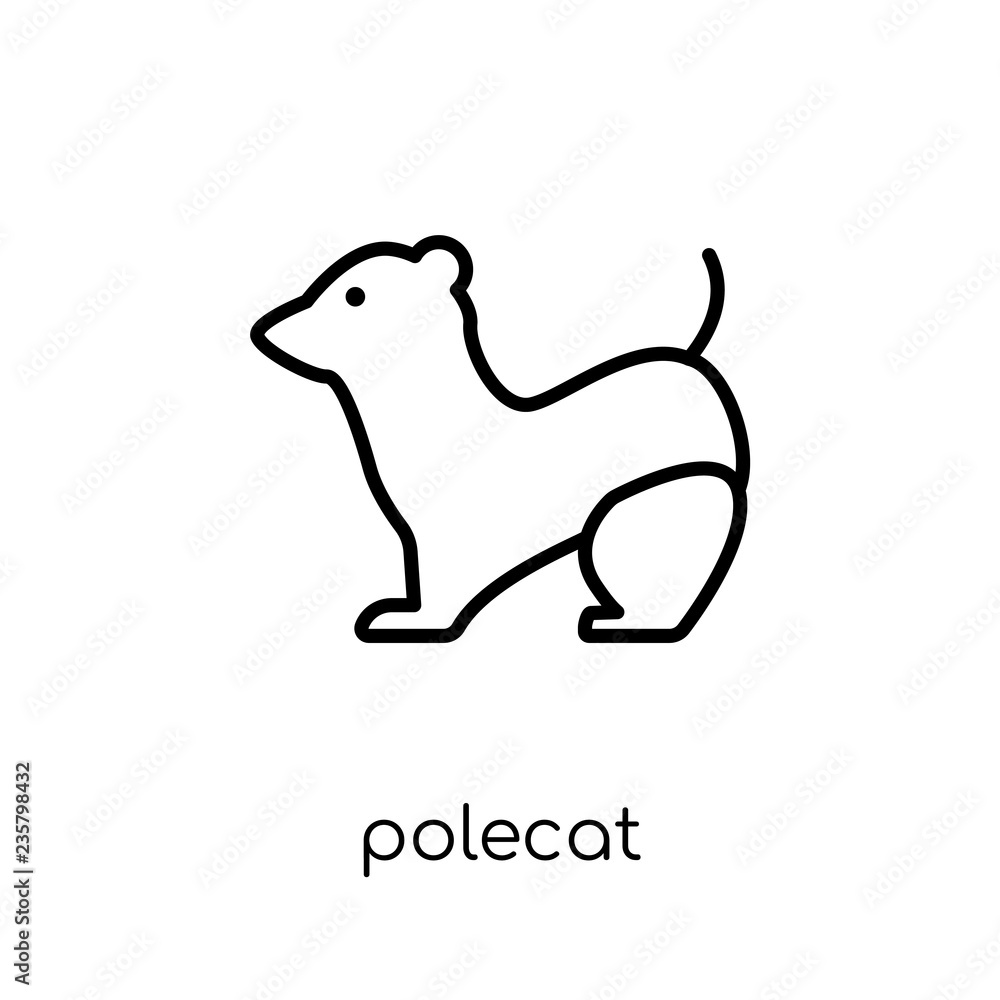 Obraz premium Polecat icon. Trendy modern flat linear vector Polecat icon on white background from thin line animals collection