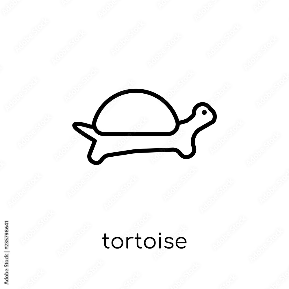 Tortoise icon. Trendy modern flat linear vector Tortoise icon on white background from thin line animals collection Tortoise icon. Trendy modern flat linear vector Tortoise icon on white background from thin line animals collection