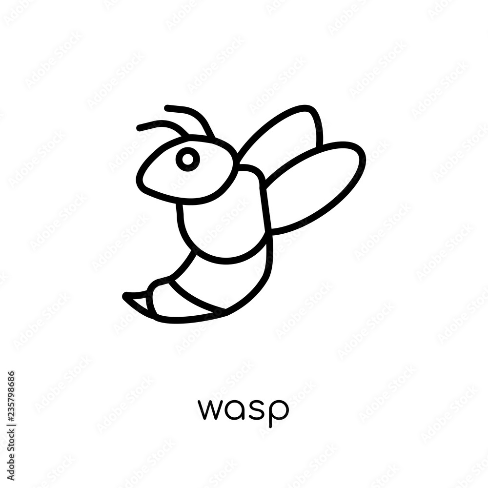 Wasp icon. Trendy modern flat linear vector Wasp icon on white background from thin line animals collection Wasp icon. Trendy modern flat linear vector Wasp icon on white background from thin line animals collection