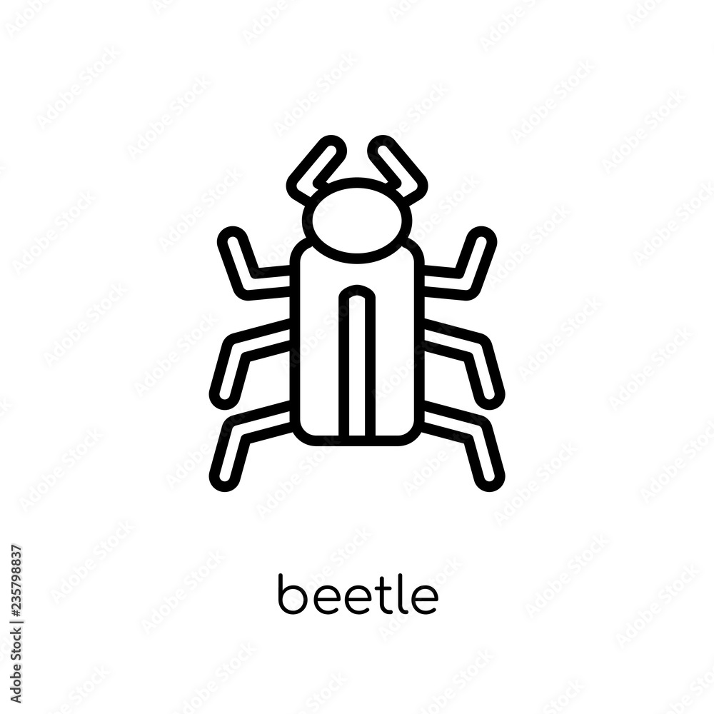 Beetle icon. Trendy modern flat linear vector Beetle icon on white background from thin line animals collection Beetle icon. Trendy modern flat linear vector Beetle icon on white background from thin line animals collection