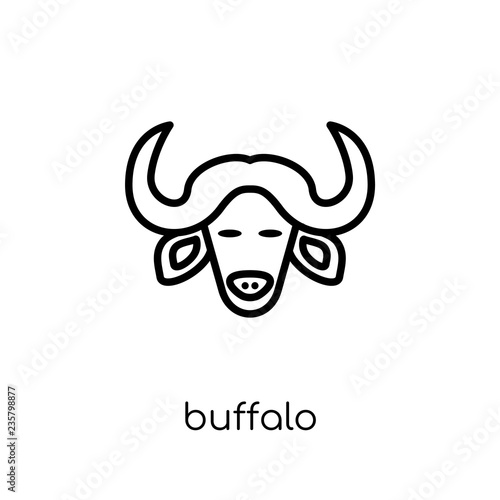 Buffalo icon. Trendy modern flat linear vector Buffalo icon on white background from thin line animals collection
