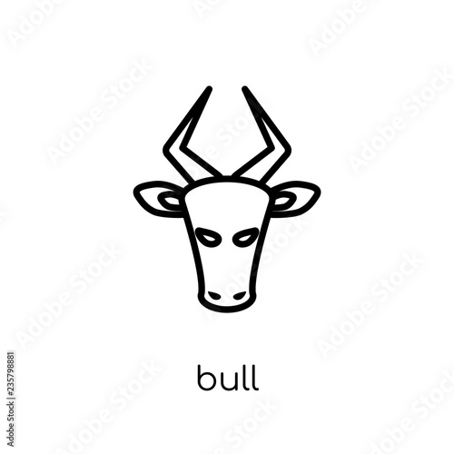 Bull icon. Trendy modern flat linear vector Bull icon on white background from thin line animals collection
